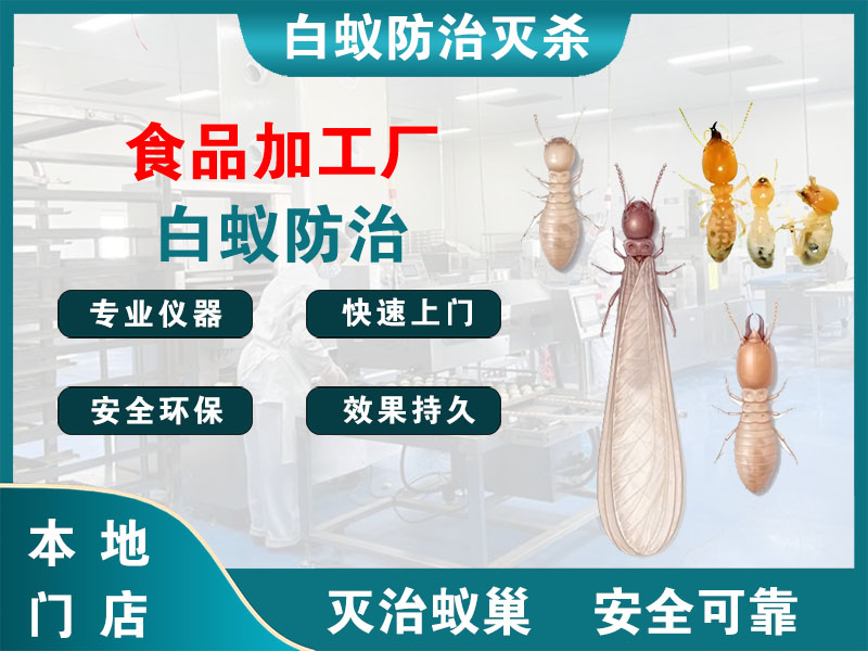 临平区食品加工厂白蚁防治