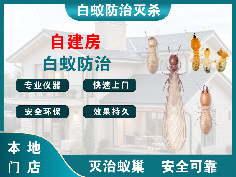 临平区自建房白蚁防治