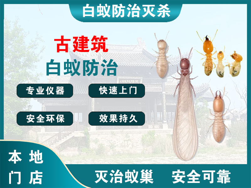 临平区古建筑白蚁防治