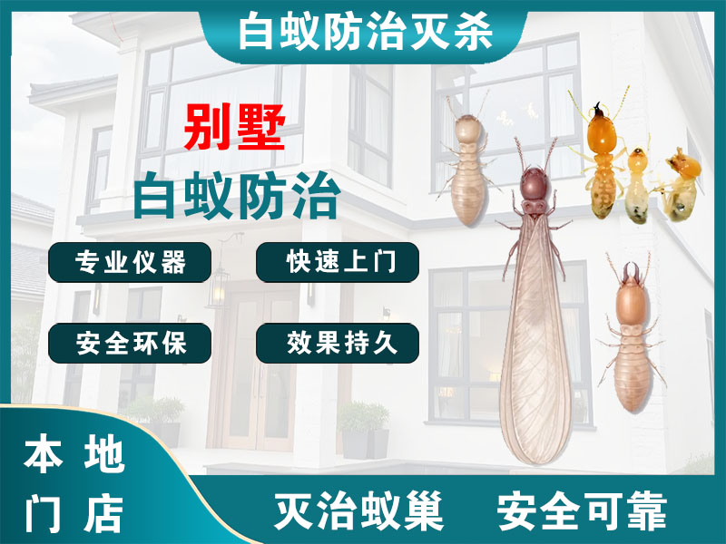 临平区别墅白蚁防治